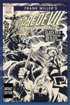 Frank Millers Daredevil Artifact Ed HC