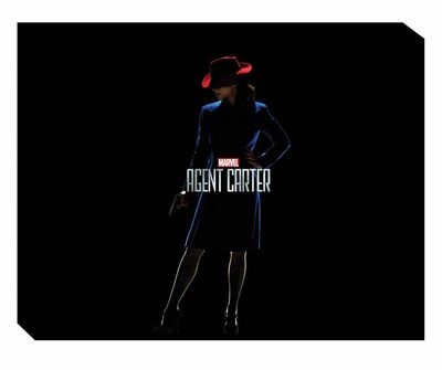Marvels Agent Carter Season One Declassified Slipcase HC