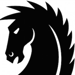 Horsepower May 2017: Dragon Age: The Knight Errant Authors Answer ''How Do You Train to Write?''