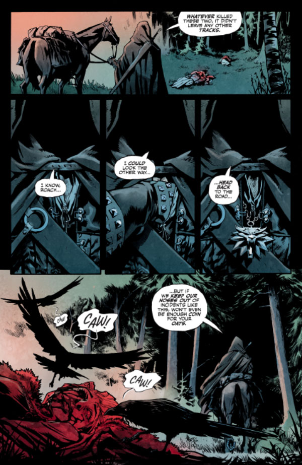 The Witcher #1 :: Profile :: Dark Horse Comics