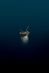 5. William Gibson's Alien 3 #1