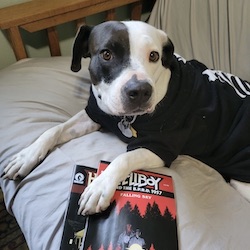 Darkish Horse Spooky Workers Picks 2022 :: Weblog :: Darkish Horse Comics