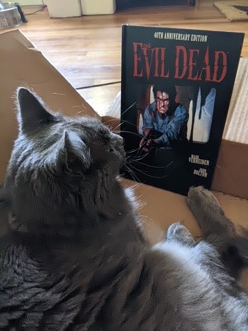 Horror Staff Picks--The Evil Dead: 40th Anniversary Edition 