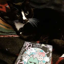 Dark Horse 2024 Staff Favorites