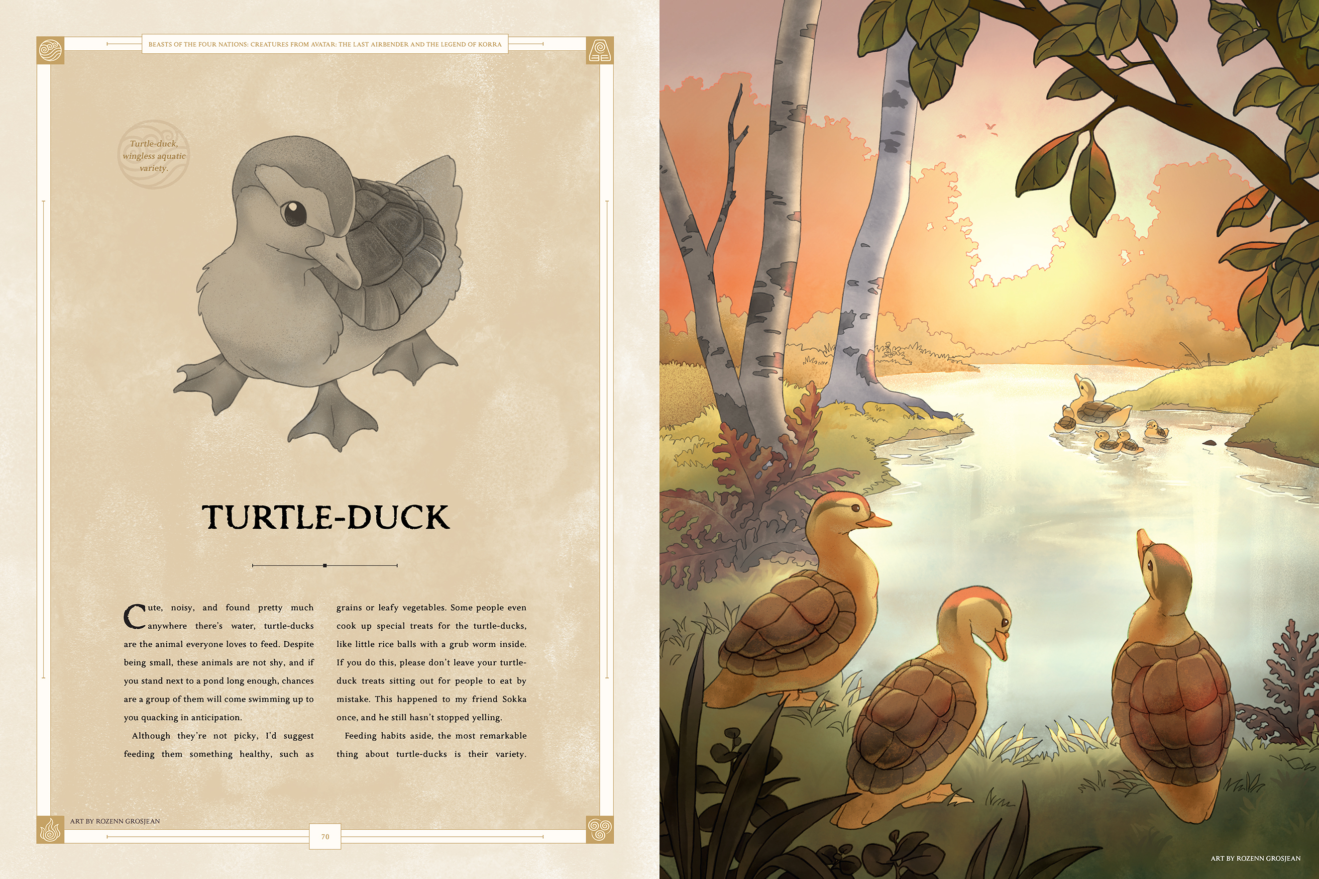 Turtle Duck - Art by Rozenn Grosjean